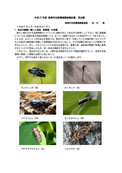 平成27 年度 長崎市自然環境調査報告書：昆虫類