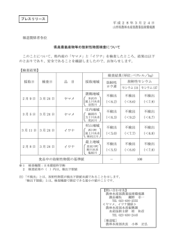 プレスリリース資料 (PDF documentファイル サイズ： 53Kb)