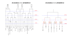 第52回全国社会人サッカー選手権長野県大会 第52回全国社会人