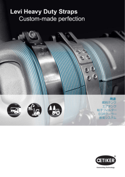 Levi Heavy Duty Straps Custom-made perfection