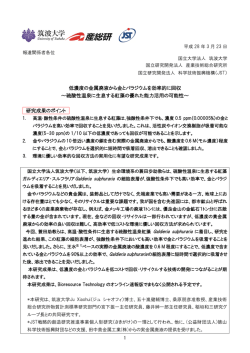 低濃度の金属廃液から金とパラジウムを効率的に回収