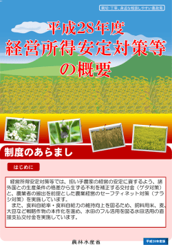 平成28年産経営所得安定対策の概要（PDF：1336KB）