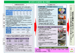 計画の概要（PDF形式、241KB）