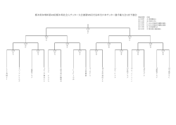栃木県知事杯第49回栃木県社会人サッカー大会兼第96回天皇杯