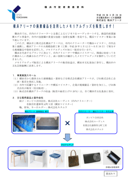 記者発表資料（PDF形式 245KB）