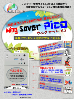Wing Saver Pico販売開始！