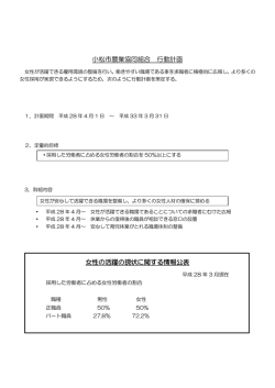 女性活躍推進法について（PDF）