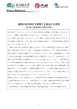 植物の体内時計を調整する遺伝子を発見