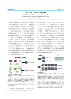 「新しい情報」を作り出す脳神経機構