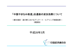 概要版