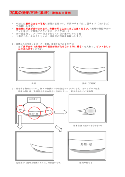 写真の撮影方法（象牙）：複数本申請用