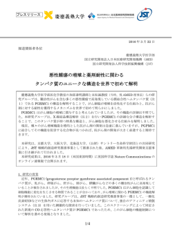 プレスリリース全文(PDF/546KB)