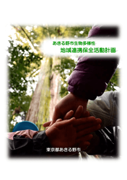 本編（一括）（14.19MB）