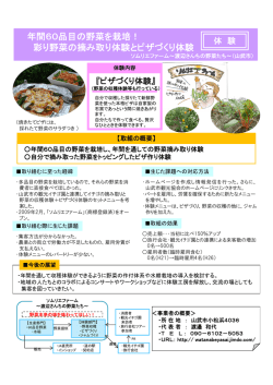 年間60品目の野菜を栽培！ 彩り野菜の摘み取り体験とピザづくり体験