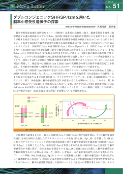 ダブルコンジェニックSHRSP/Izmを用いた 脳卒中感受性遺伝子の探索