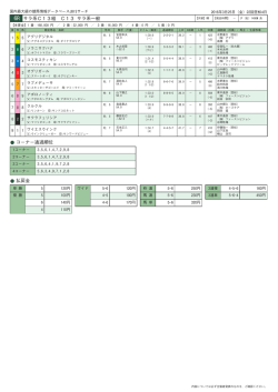 6R サラ系C13組 C13 サラ系一般 コーナー通過順位 払戻金