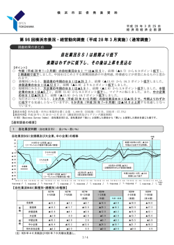 記者発表資料（PDF形式 285KB）