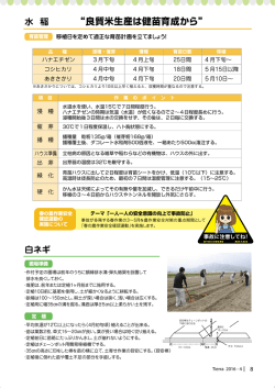 “良質米生産は健苗育成から”
