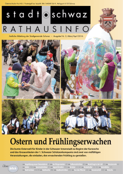PDF Rathausinfo Nr. 03/2016