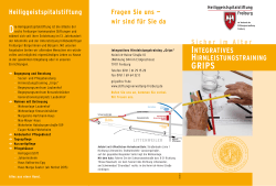 Flyer GRIPS - Stiftungsverwaltung Freiburg