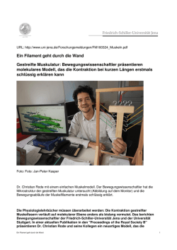 Ein Filament geht durch die Wand Gestreifte Muskulatur