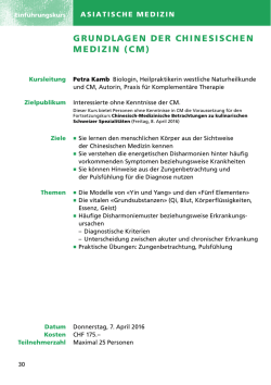 grundlagen der chinesischen medizin (cm)