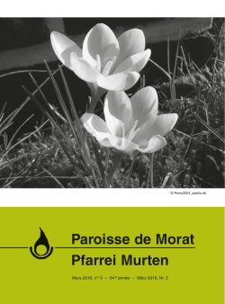 Paroisse de Morat Pfarrei Murten