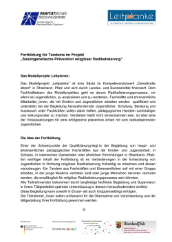 Hinweise - Modellprojekt Leitplanke