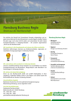 Flensburg Business Regio
