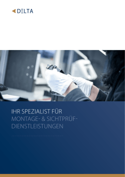 ihr spezialist f&uuml;r montage- & sichtpr&uuml;f