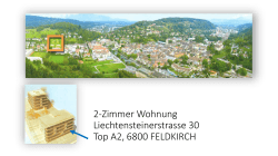 2-Zimmer Wohnung Liechtensteinerstrasse 30 Top A2, 6800