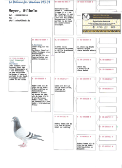 Enkel Stammvogel 808 001 - willis