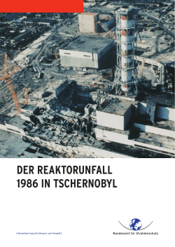 Der Reaktorunfall 1986 in Tschernobyl