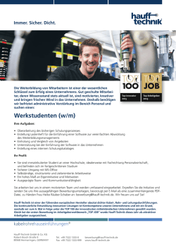 Infomaterial Werkstudenten - Bereich Personal (pdf - Hauff