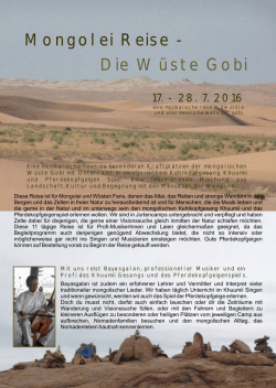 Die W&uuml;ste Gobi - Impuls und Continuum Gina Gohl