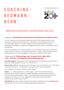 Infoflyer IntK2 - Coaching Redmann Bern