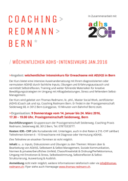 Infoflyer IntK2 - Coaching Redmann Bern