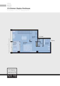 2.5-Zimmer-Duplex-Penthouse A 23.400 / 119.1 m2 Wohnfläche