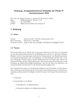 Infoblatt - 1. Institut f&uuml;r Theoretische Physik