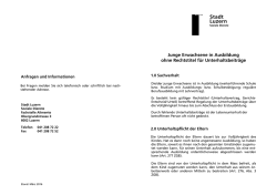 Information Junge Erwachsene in Ausbildung_2016_03