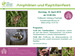 Amphibien- und Reptilienfest in Fischbek