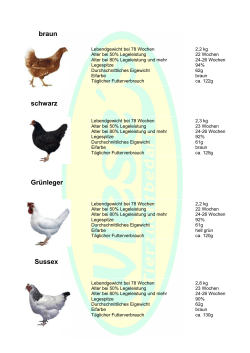 Hühnerbeschreibung