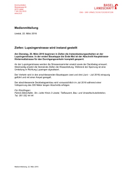 Instandstellung Lupsingerstrasse - Kanton Basel
