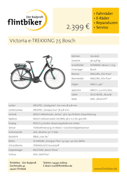 Infos  - flintbiker