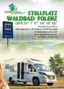 Flyer - Waldbad Polenz