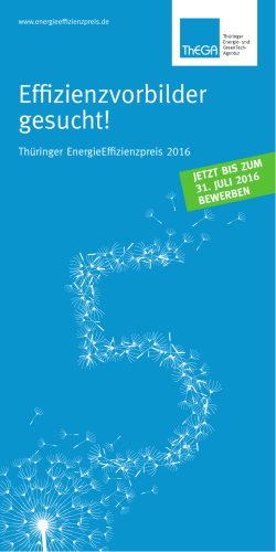 Flyer Energieeffizienzpreis 2016 - Thüringer Energie