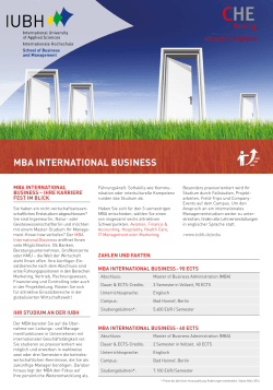 mba international business
