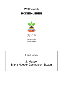 Wettbewerb BODEN=LEBEN Lea Huber 2. Klasse, Maria Hueber