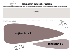 Hasenohren zum Selberbasteln