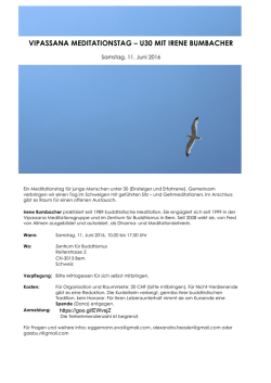 vipassana meditationstag – u30 mit irene bumbacher